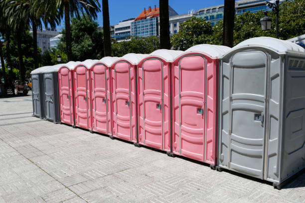 Best Eco-Friendly Portable Toilets in Granvle, IL